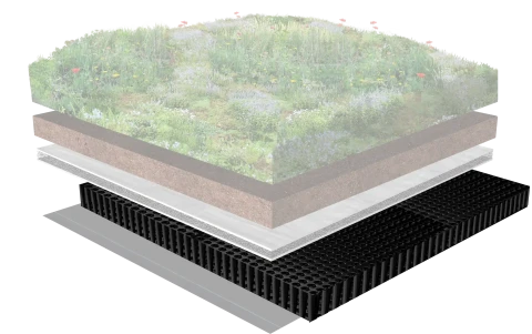 Het systeem 4 drainage Dakbloemenweide